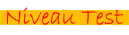 cursus spaans test